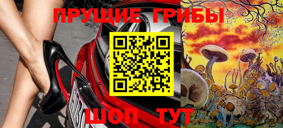 Кувандык  Псилоцибиновые грибы мицелий  Вход с VPN 